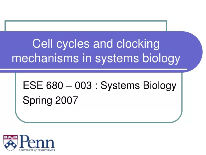 cell cycles and clocking mechanisms in systems biology