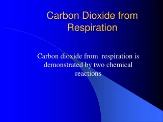 Carbon Dioxide from Respiration