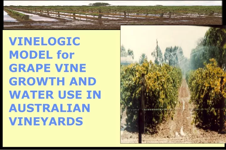 vinelogic model for grape vine growth and water