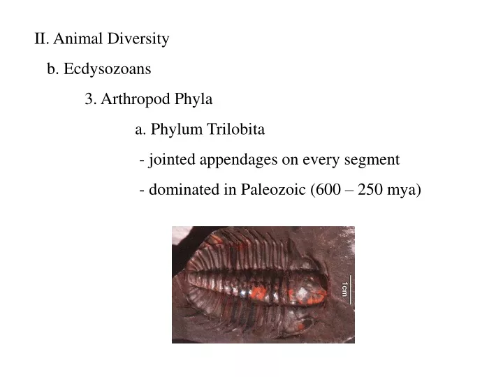 ii animal diversity b ecdysozoans 3 arthropod