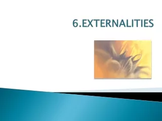 6.EXTERNALITIES