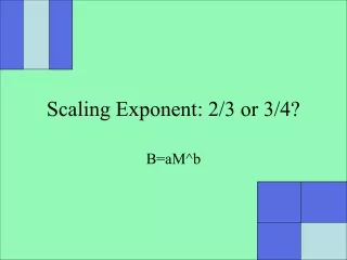 Scaling Exponent: 2/3 or 3/4?