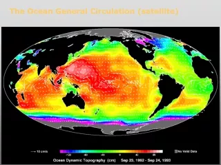 The Ocean General Circulation (satellite)
