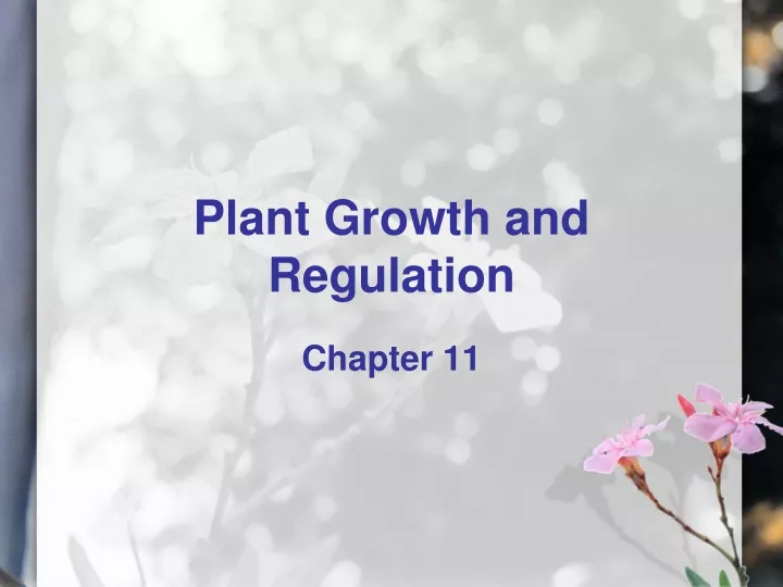 plant growth and regulation