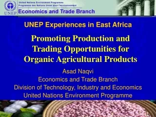 UNEP Experiences in East Africa  Asad Naqvi Economics and Trade Branch