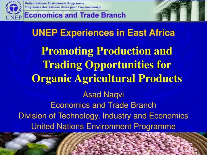 unep experiences in east africa asad naqvi