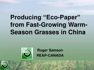 Producing “Eco-Paper” from Fast-Growing Warm-Season Grasses in China