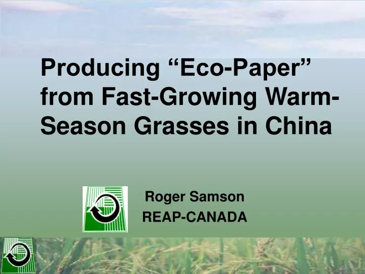 producing eco paper from fast growing warm season grasses in china