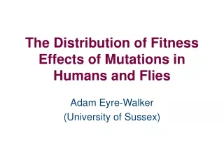 The Distribution of Fitness Effects of Mutations in Humans and Flies