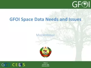 GFOI Space Data Needs and Issues