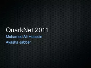 QuarkNet 2011
