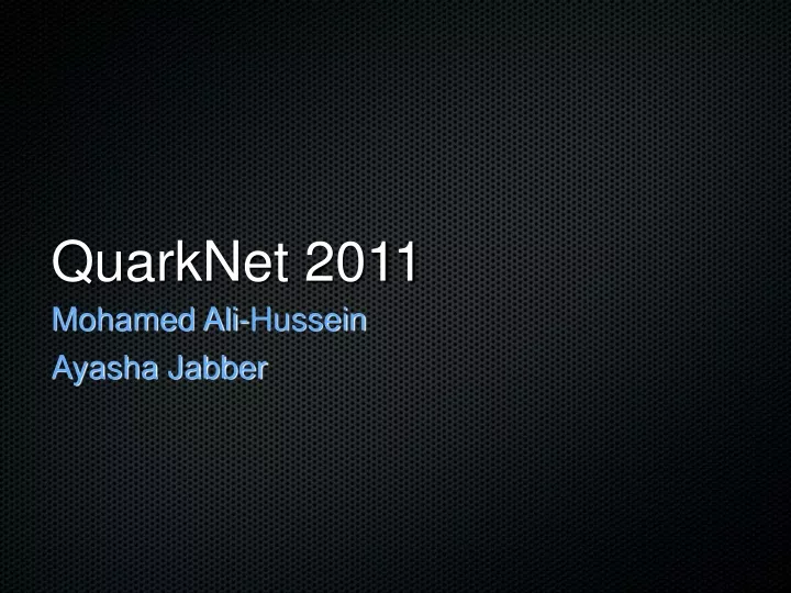 quarknet 2011