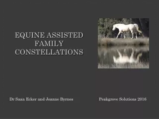 EQUINE ASSISTED FAMILY CONSTELLATIONS