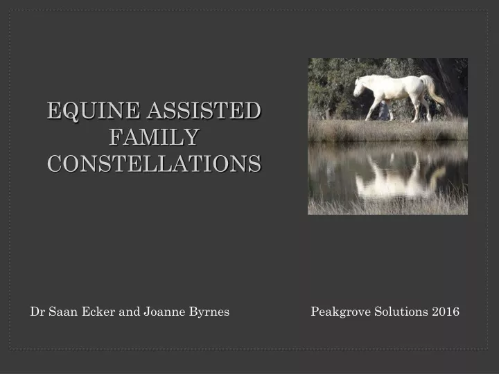 equine assisted family constellations