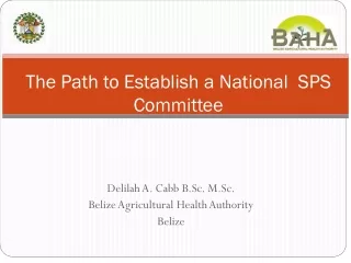 The Path to Establish a National  SPS Committee
