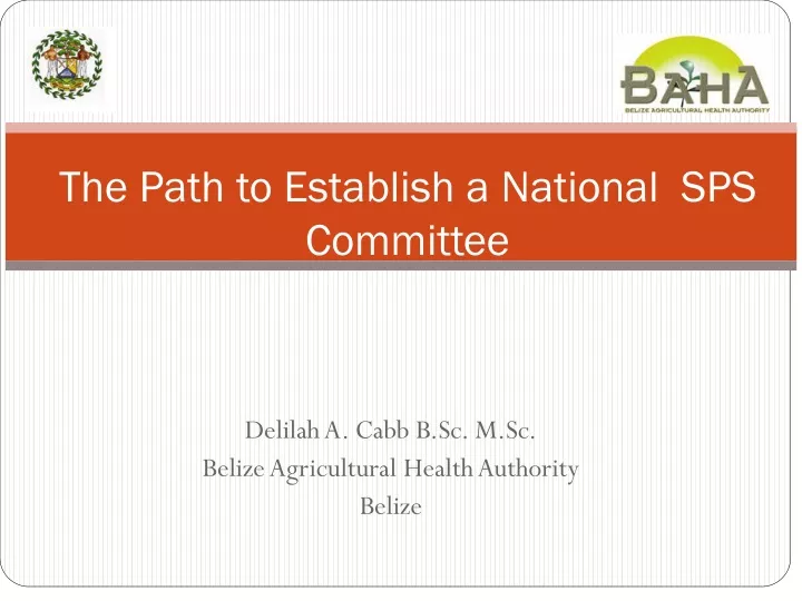 the path to establish a national sps committee