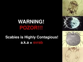 WARNING! POZOR!!!