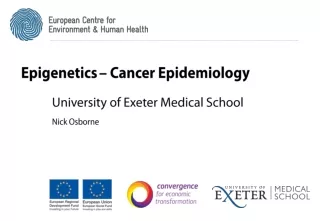 Epigenetics – Cancer Epidemiology