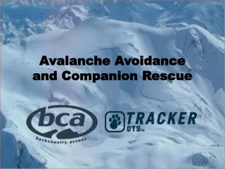 Avalanche Avoidance  and Companion Rescue