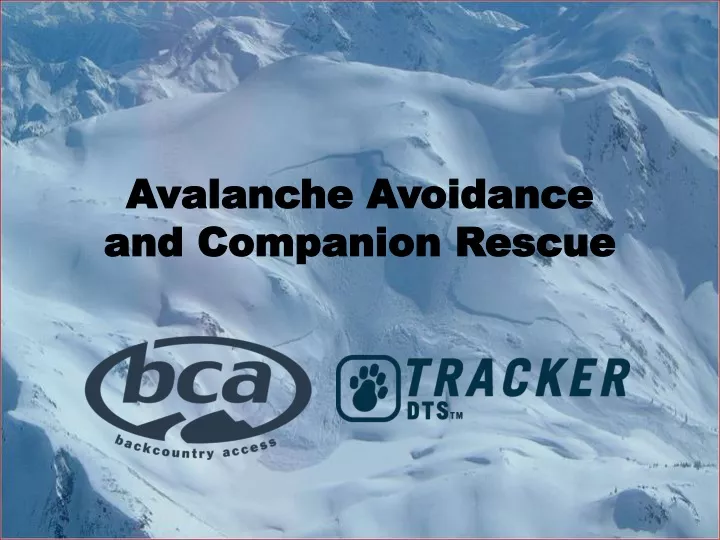 avalanche avoidance and companion rescue