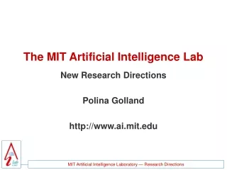 The MIT Artificial Intelligence Lab