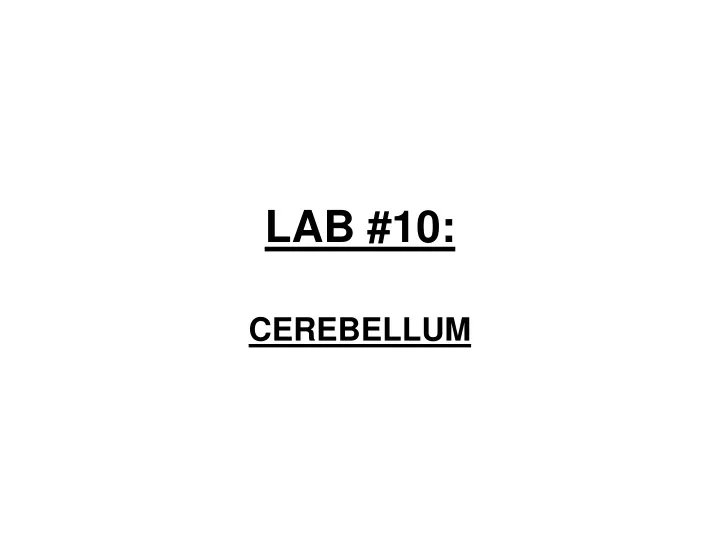 lab 10
