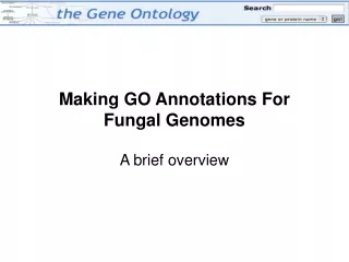 Making GO Annotations For Fungal Genomes