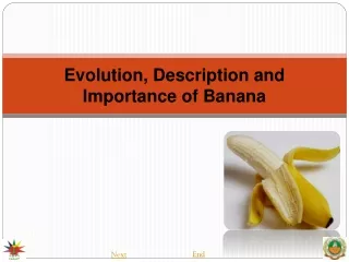 Evolution, Description and Importance of Banana