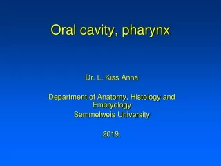 Oral cavity, pharynx