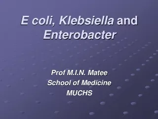 E coli,  Klebsiella  and  Enterobacter