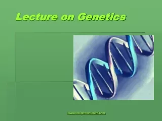Lecture on Genetics