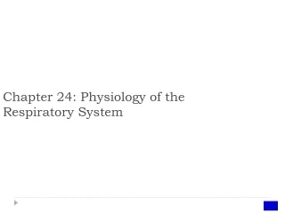 Chapter 24: Physiology of the Respiratory System