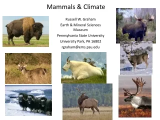 Mammals &amp; Climate