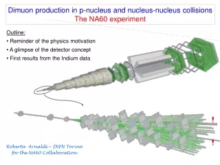 Dimuon production in p-nucleus and nucleus-nucleus collisions The NA60 experiment