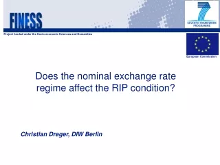Does the nominal exchange rate regime affect the RIP condition?