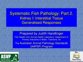 Systematic Fish Pathology: Part 2. Kidney I: Interstitial Tissue Generalised Responses