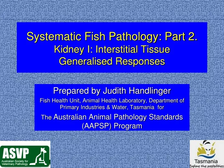 systematic fish pathology part 2 kidney i interstitial tissue generalised responses