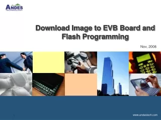 Download Image to EVB Board and  Flash Programming