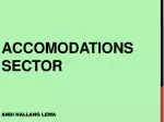 Exploring Accommodations Sector: Hotels and Lodging Insights - slide 1