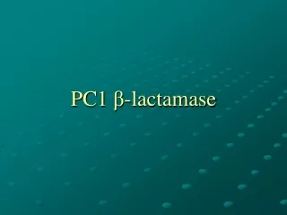 PC1  β -lactamase