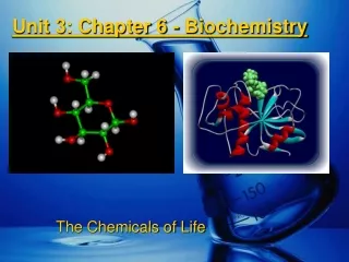 Unit 3: Chapter 6 - Biochemistry