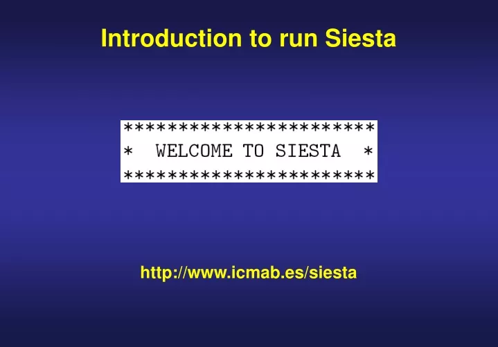introduction to run siesta
