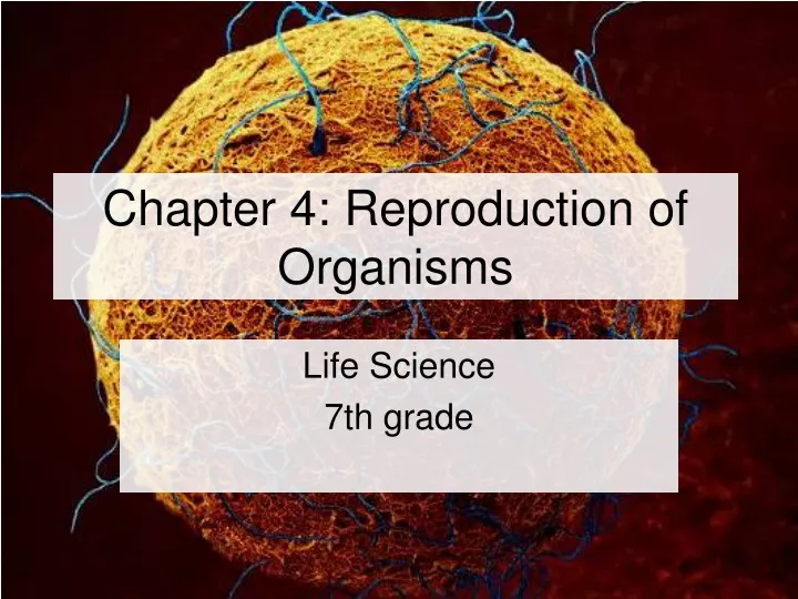 chapter 4 reproduction of organisms