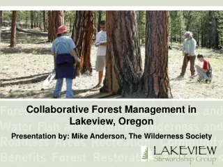 Collaborative Forest Management in Lakeview, Oregon