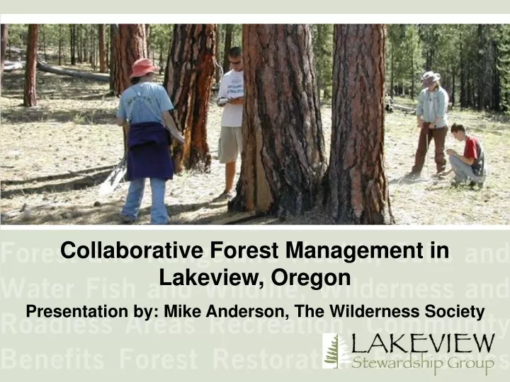collaborative forest management in lakeview