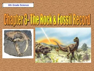 Chapter 3- The Rock &amp; Fossil Record