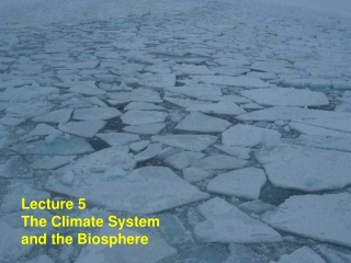 Lecture 5                                     The Climate System and the Biosphere