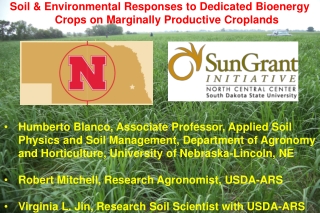 Soil &amp; Environmental Responses to Dedicated Bioenergy Crops on Marginally Productive Croplands