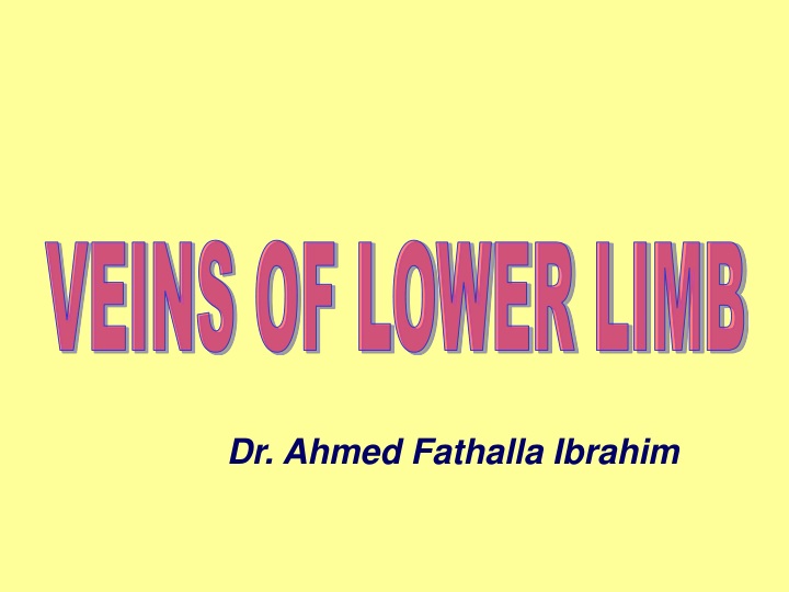 veins of lower limb