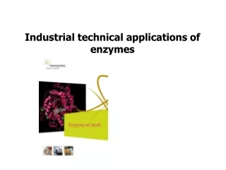 Industrial technical applications of enzymes